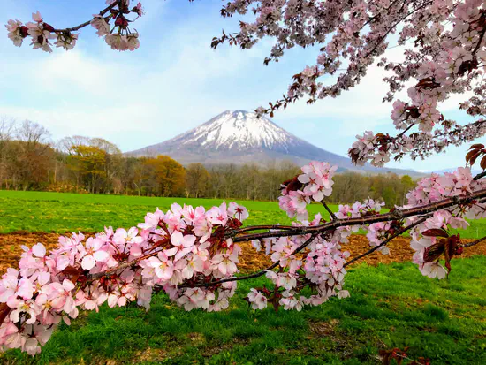 YWAM Niseko